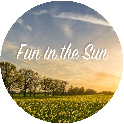 Fun In The Sun playlist