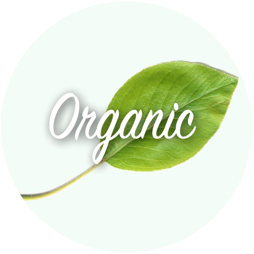 Organic based music