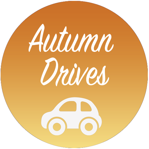 Autumn Drives playlist