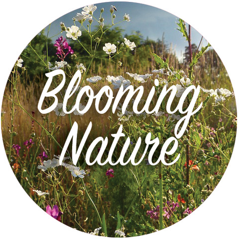 Blooming Nature playlist