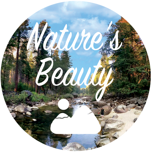 Nature's Beauty Playlist