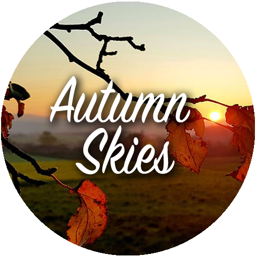Autumn Skies playlist