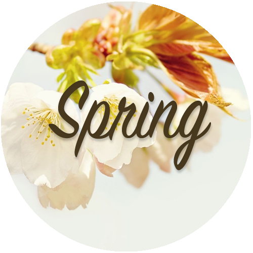 Spring Collection